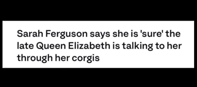 Royal Family Fans Giggle Over Sarah Headlines - Via MAYCON - Daily News Headlines - YouTube