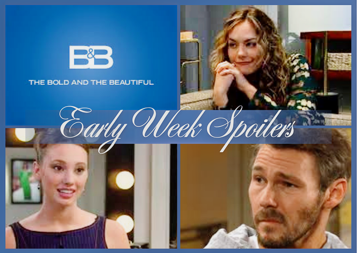 'B&B' Early Week Spoilers May 11-15: Biz Decisions, Promotion Problems, Family Choices