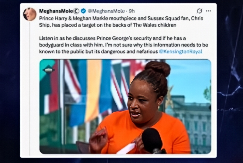 Anger expressed - @meghansMole - X Via Outspoken - YouTube