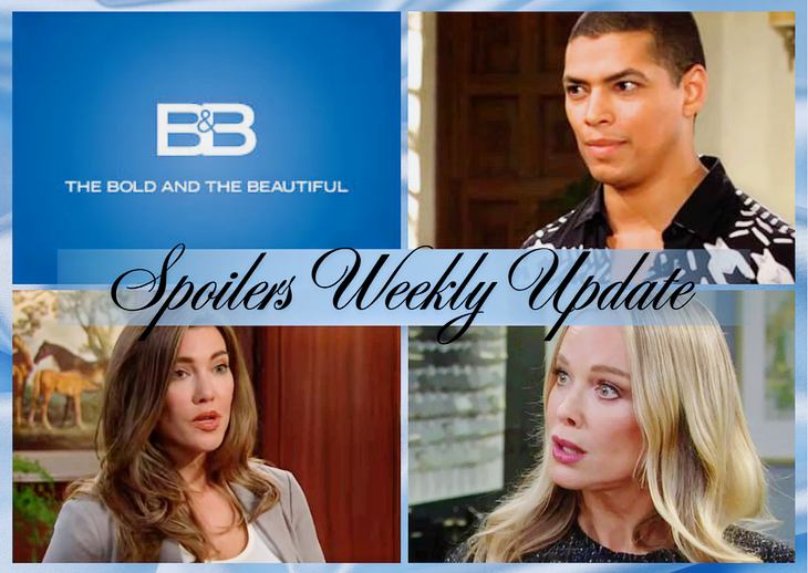 'B&B' Spoilers Weekly Update May 11-15: Zende’s Rage, Promotion Time, Donna’s Plea