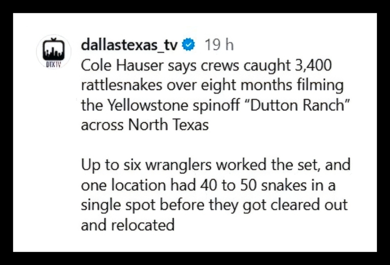 The snake story - @DallasTexasTV - Instagram